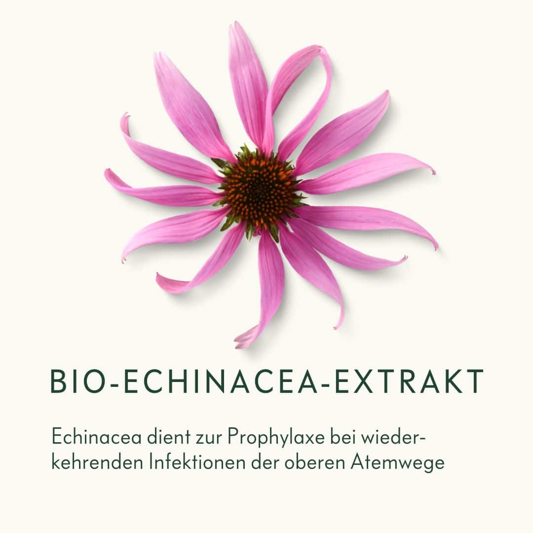 Bio-Echinacea-Extrakt-Ogaenics