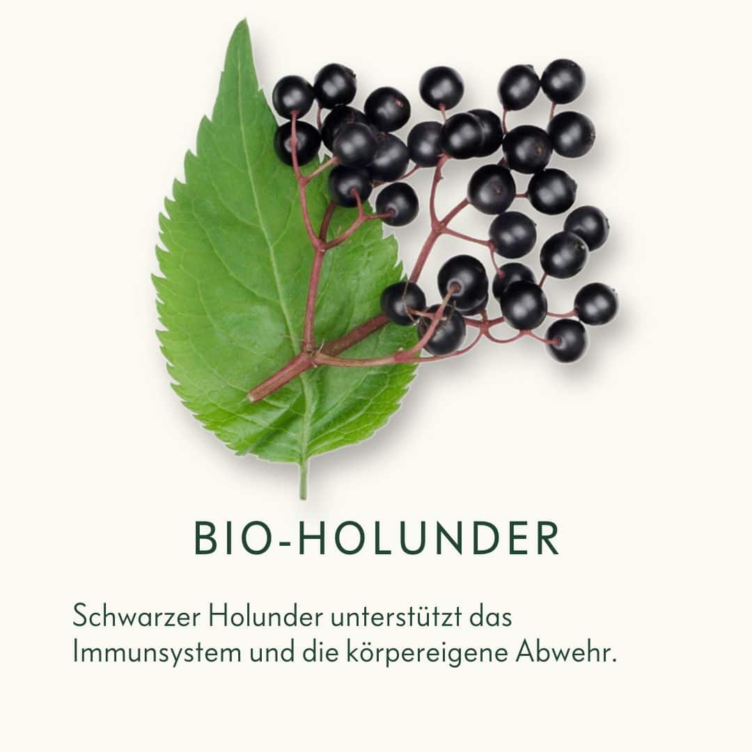 Bio-Holunder-Ogaenics