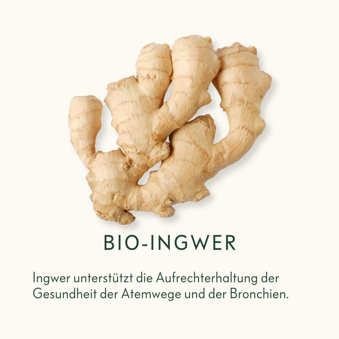 Bio-Ingwer-Ogaenics
