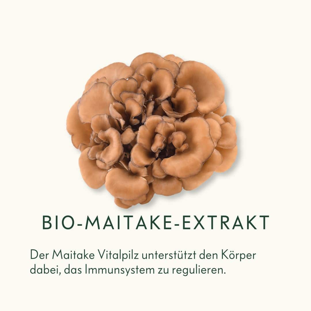 Bio-Maitake-Extrakt-Vitalpilz-Ogaenics