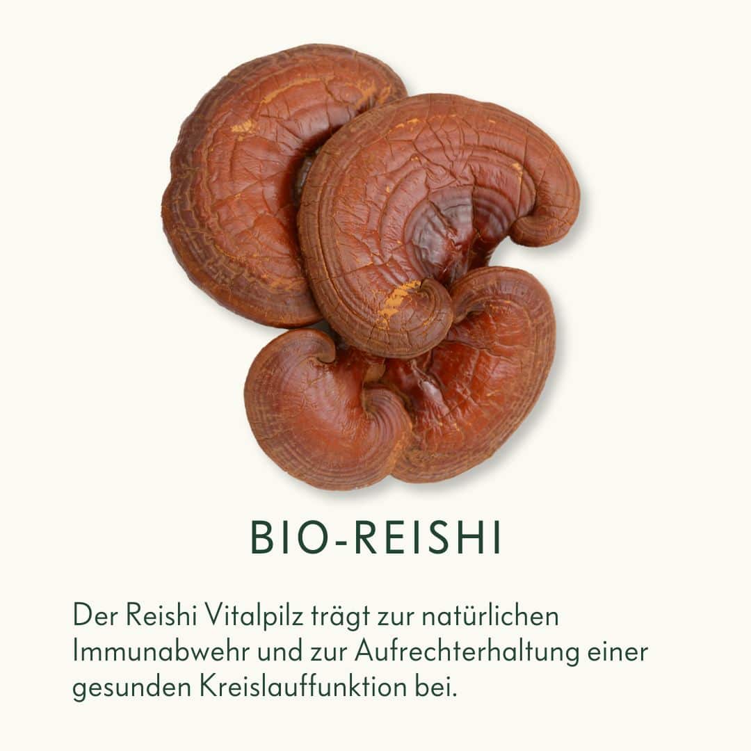 Bio-Reishi-Vitalpilz-Ogaenics