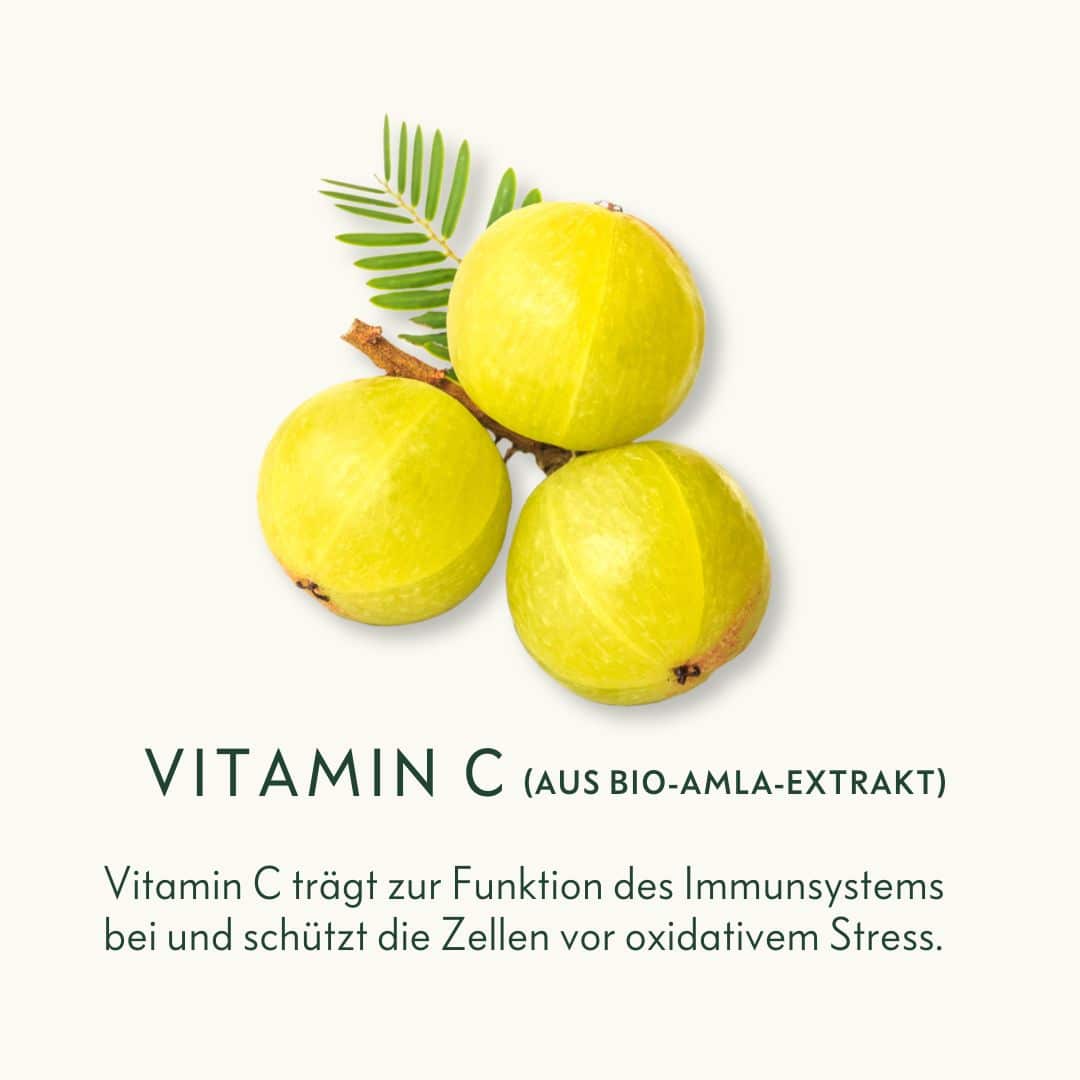 Bio-Vitamin-C-aus-Amla-Extrakt-Ogaenics