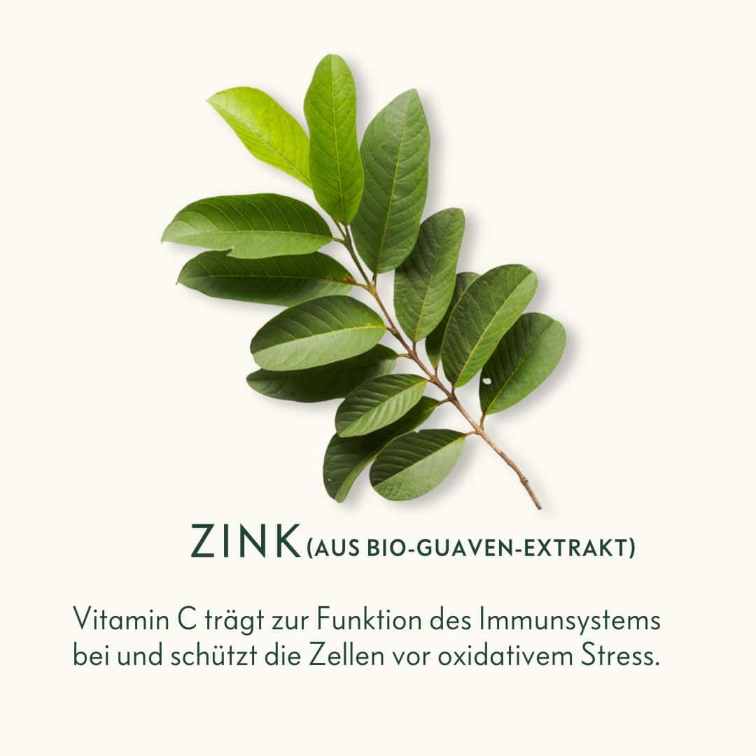 Bio-Zink-aus-Guaven-Extrakt-Ogaenics