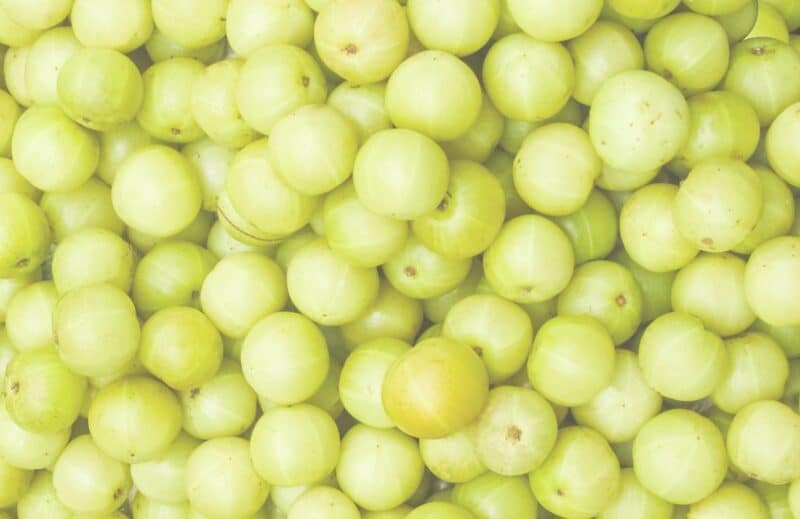 Complément alimentaire Ogaenics-Iron-Maid-Bio-fer plus vitamine (10) Complément alimentaire Ogaenics-Iron-Maid-Bio-fer plus vitamine (10)