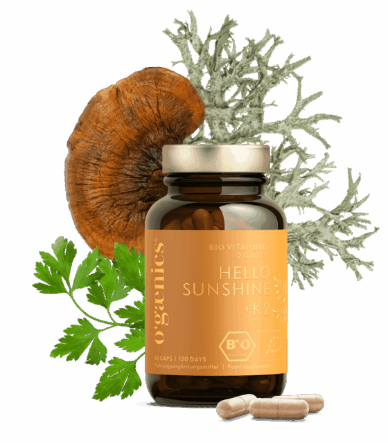 HELLOSUNSHINE+K2-60er_1120x1280_rgb