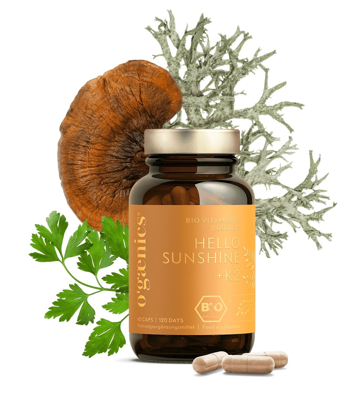 HELLOSUNSHINE+K2-60er_1120x1280_rgb