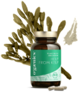 ogaenics-helpfromkelp-jod-schilddruese-bio-nahrungsergaenzung