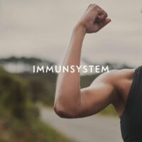 Immunsystem