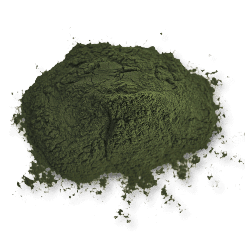 Chlorella bio