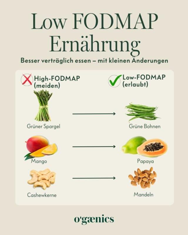 Infografik LOW FODMAP Swaps Infografik LOW FODMAP Swaps