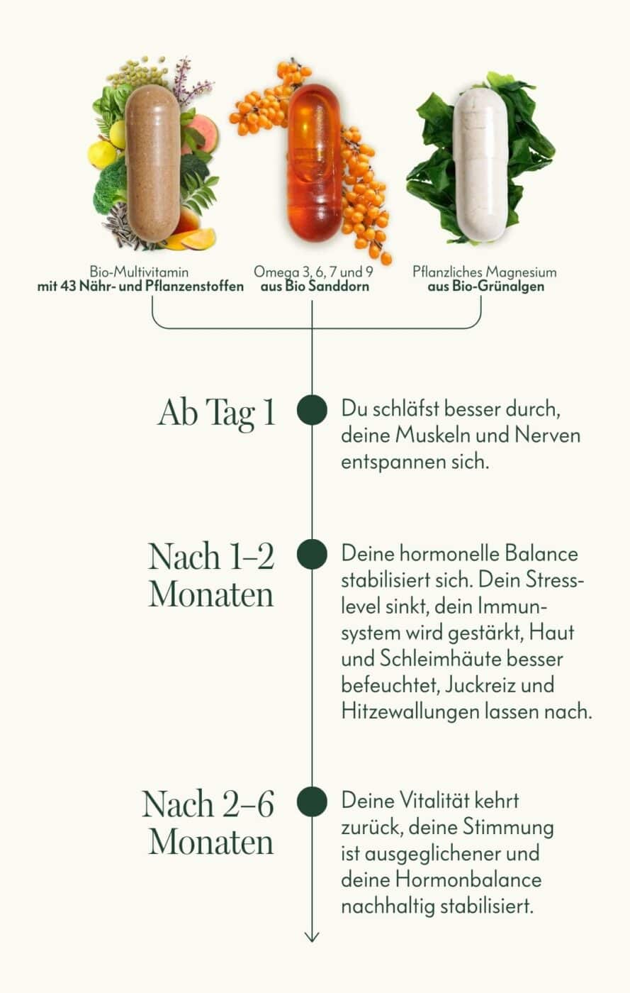 Wechseljahre-Set-LP-Timeline Wechseljahre-Set-LP-Timeline-mobile