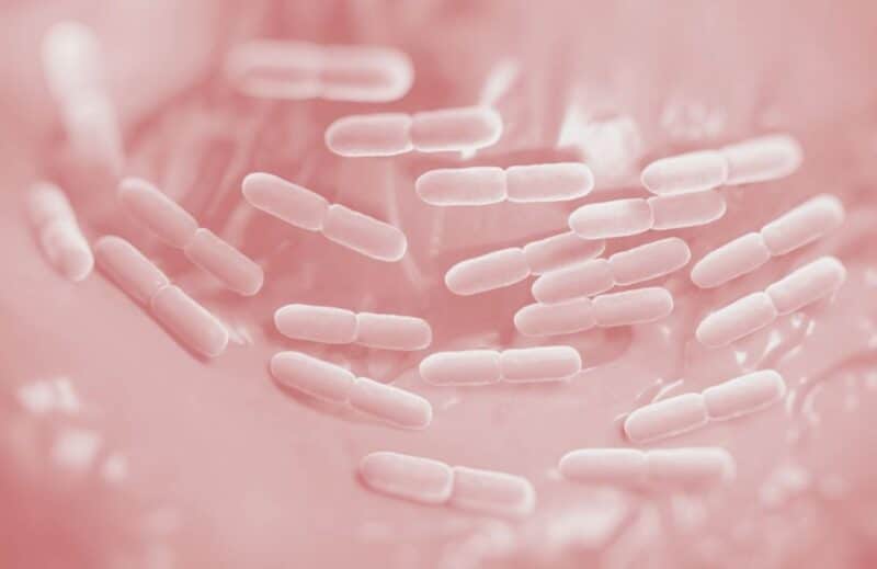 Ogaenics-Vivalaflora-Bio-Female-biotic-komplex-vagina-scheidenflora-capsules-synbaective-femme-blend