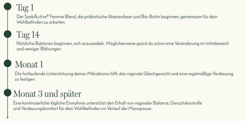 Timeline-desktop-Viva La Flora-timeline