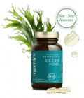 Ogaenics-OCEANMIND-Bio-PLANT-BASED-OMEGA3-DHA-Schizochytrium-Algen-60er-rgb_klein_Neu