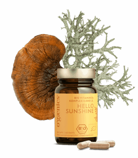 RZ_HELLOSUNSHINE_30er-1120x1280-rgb