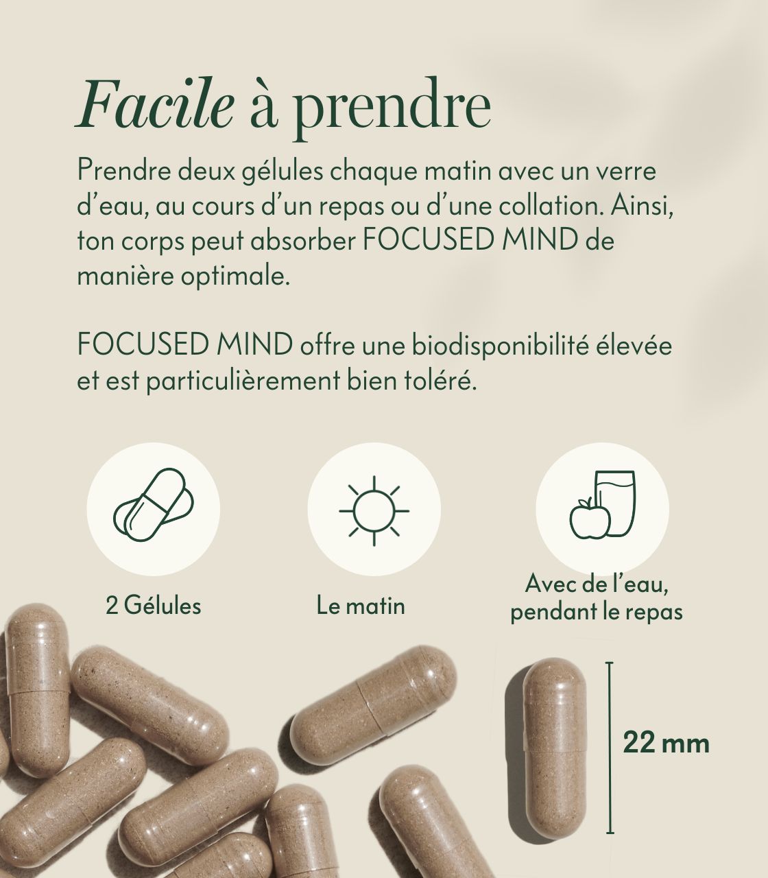 PDP-images détaillées-Focused-Mind-Bio-Brain-Power-Komplex-prise-FR