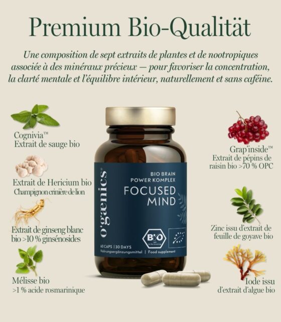 PDP-Detailbilder-Focused-Mind-Bio-Brain-POwer-Komplex-