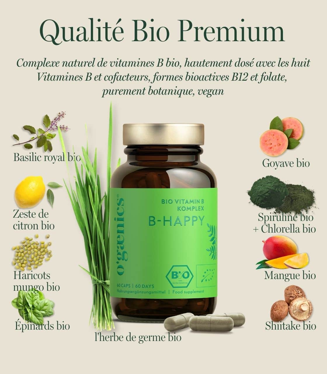 PDP-images détaillées-b-happy-bio-complexe de vitamines-b-complément alimentaire