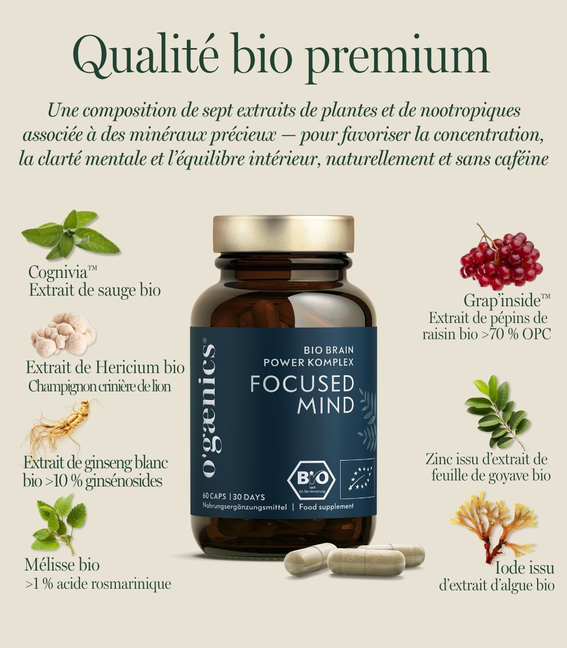 Images détaillées PDP-Focused-Mind-Bio-Brain-POwer-Complex-