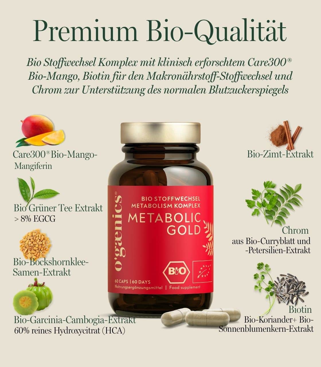 PDP-Detailbilder-METABOLIC-GOLD-Bio-Stoffwechsel-Metabolism-Komplex