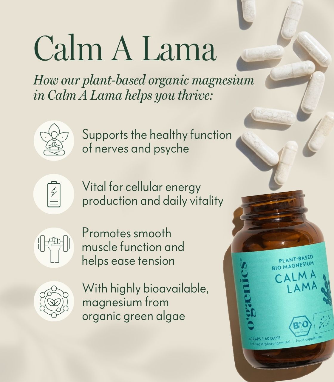 PDP-Detailbilder-calm-a-lama-plant-based-magnesium-Benefits-EN