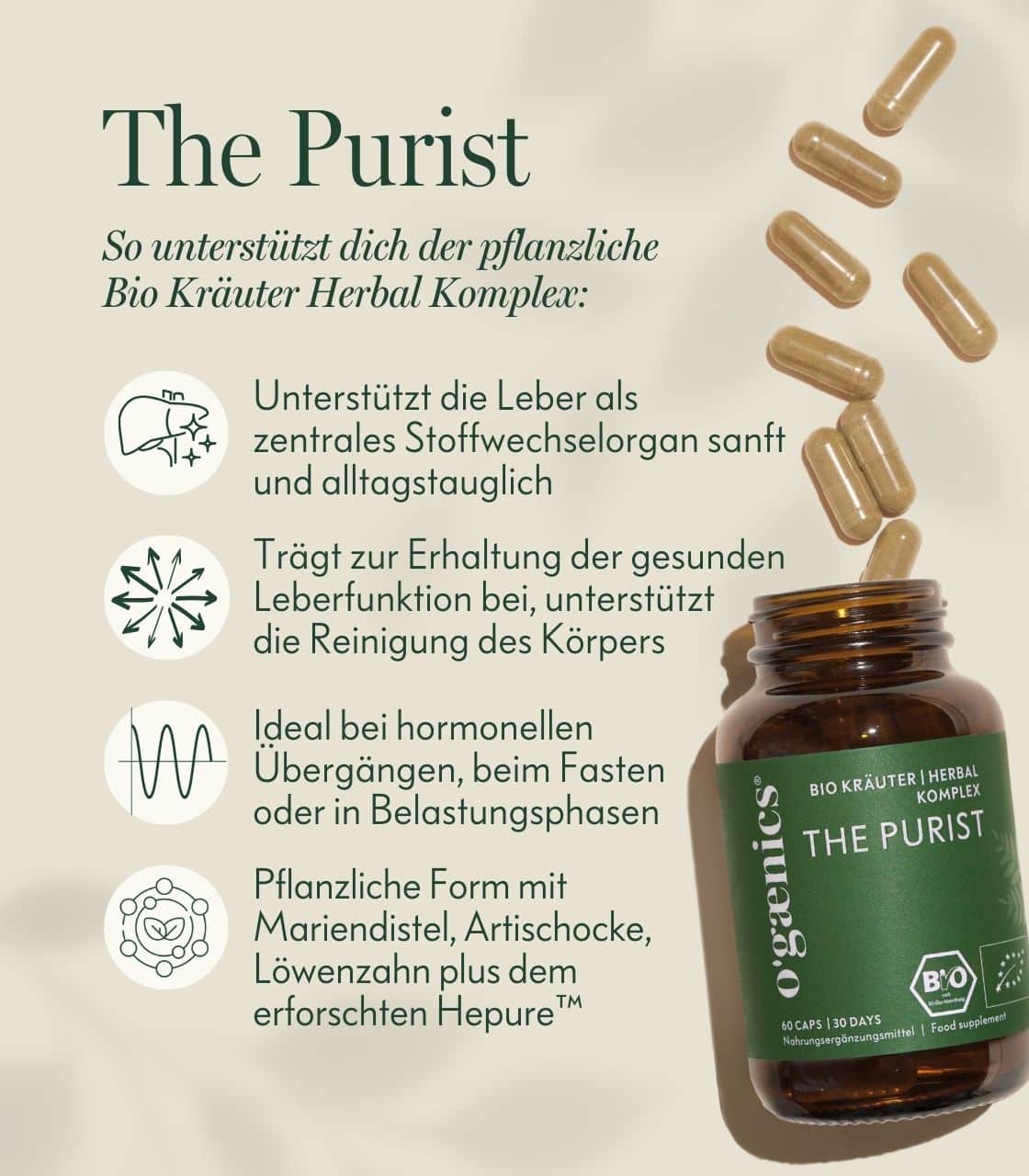 PDP-Detail-pictures-the-purist-bio-kraeuter-herbal-complex-liver-metabolism-cleanse-Benefits-EN