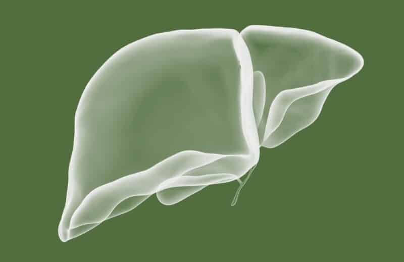 Ogaenics-PDP_Moodbilder-Bio-chardon-marie-Bio-silmarin-foie-hormones métaboliques (2)
