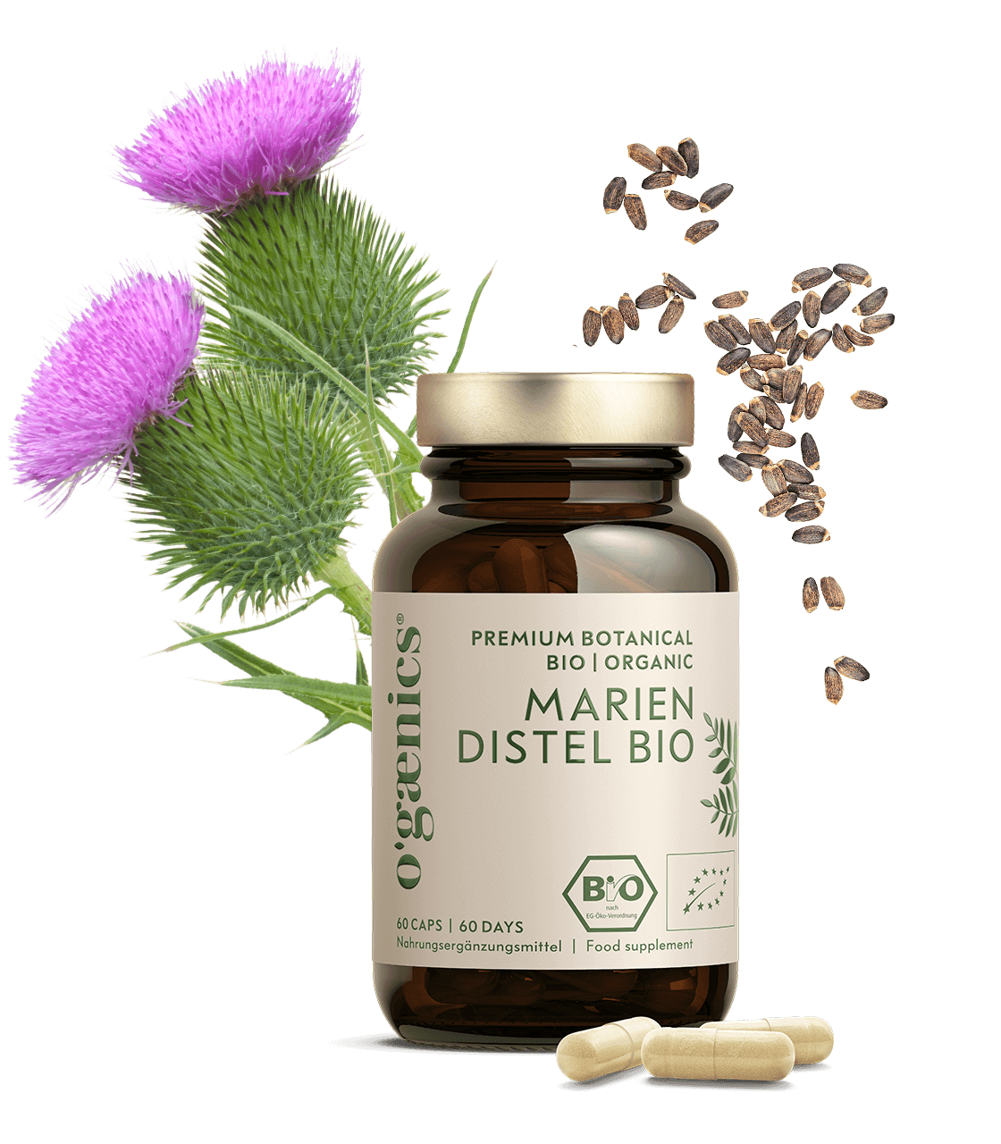 RZ_MARIENDIESTEL_60er_rgb