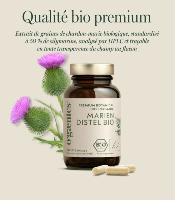 PDP-images détaillées-Ogaenics-bio-chardon-Marie-foie-hormone-métabolisme-ingrédient-carreaux_Shop-FR